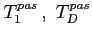 $T_1^{pas}\,,\,\,T_D^{pas}$