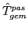$\hat{T}^{pas}_{gem}$