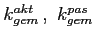 $k_{gem}^{akt}\,,\,\,k_{gem}^{pas}$